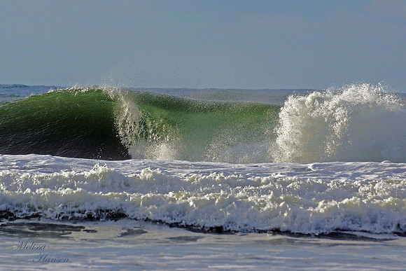 Ocean Curl