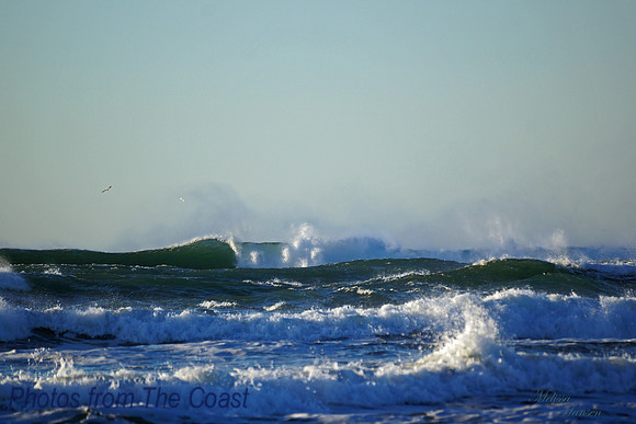 Late Afternoon Light
