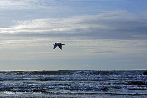 Just flying By