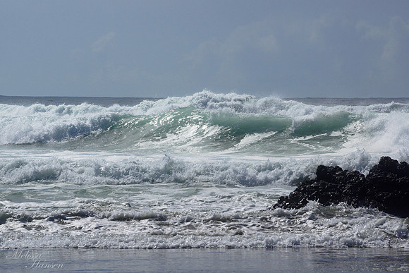 Pretty Wave
