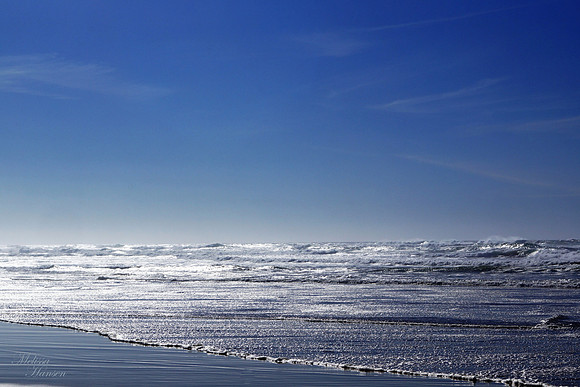 Incredible Silver Surf