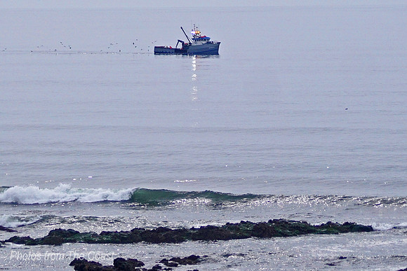 FV Close to Shore