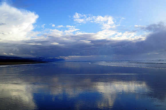Miles of Winter Beach