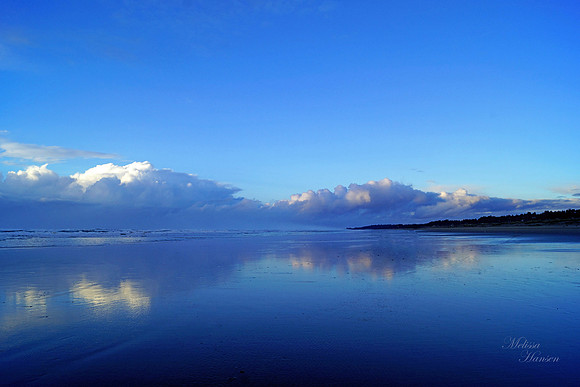 Beautiful Coastal Blues