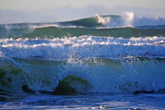 Late Afternoon Spray