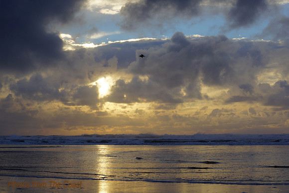 Golden Light of Late Winter