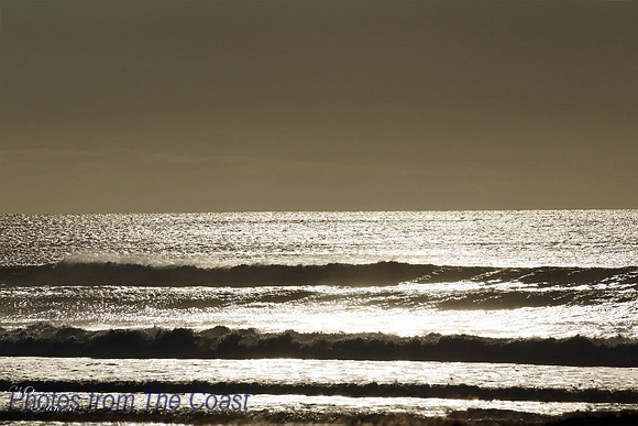 Ocean Shines Gold