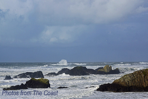 Seal Rock Surf