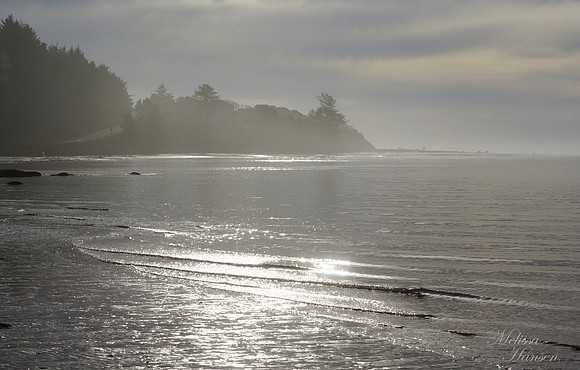 Beautiful Bay Shines