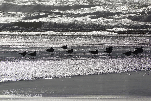 Silver Beach