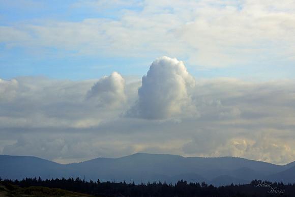 Coastal Range
