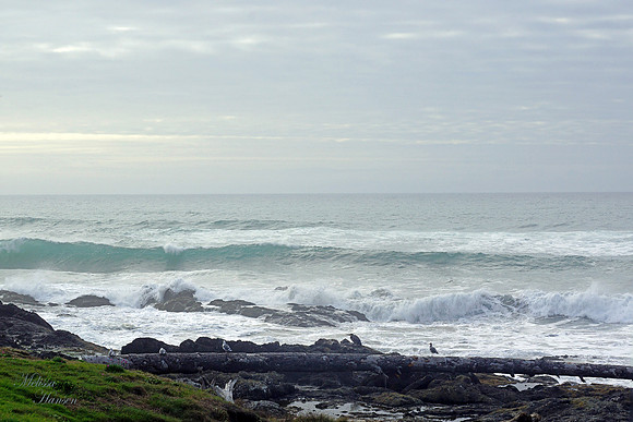 Turquoise Surf