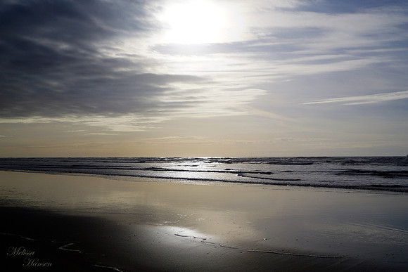 Soft Late Afternoon Light