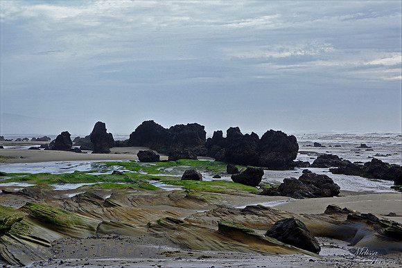 Ocean Patterns
