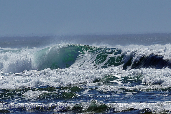 Great Turquoise, Blue & Green Curl