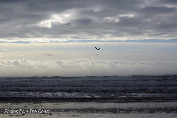 Flying Free