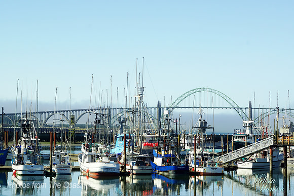 Bright Fishing Vessels