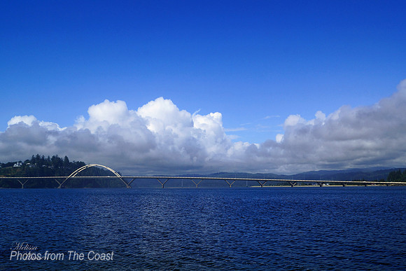 Beautiful Alsea Bay