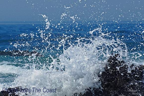 Sunshine Saltwater Splash