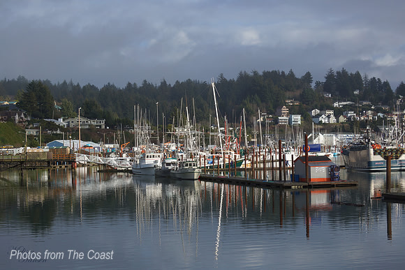 Reflection at The Docks
