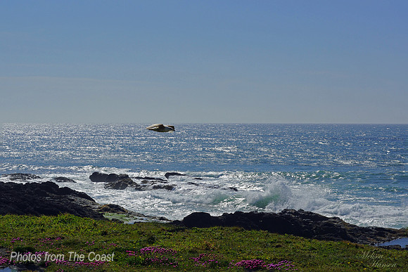 Surfing The Air Waves