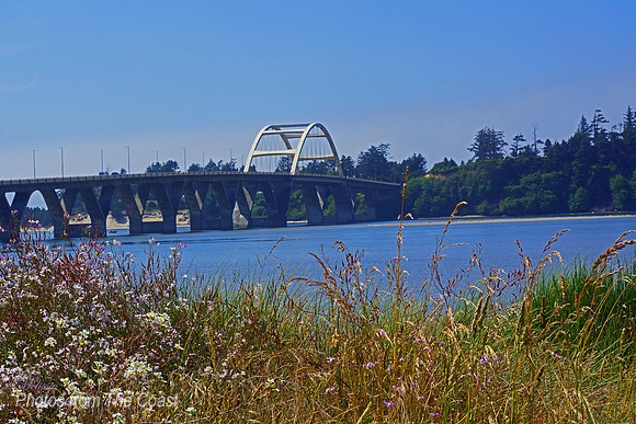 Bridge, Bay & Wildflowers