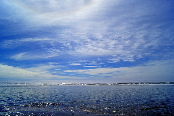 Summer on The Coast