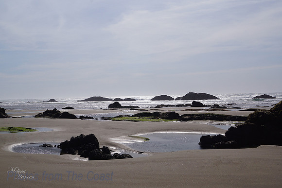 Tide Pools