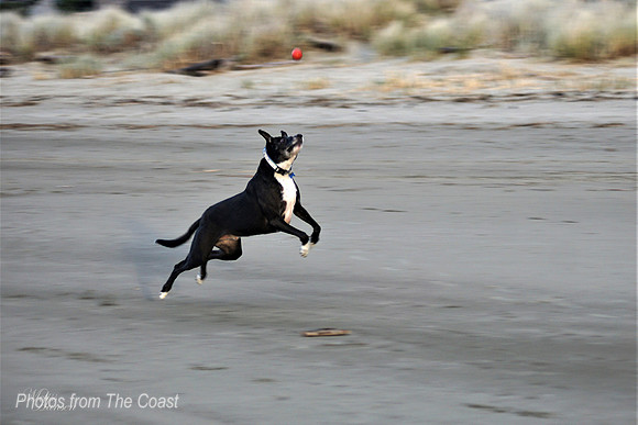 Doing what he loves!