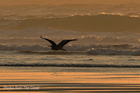 Golden Hour on The Beach