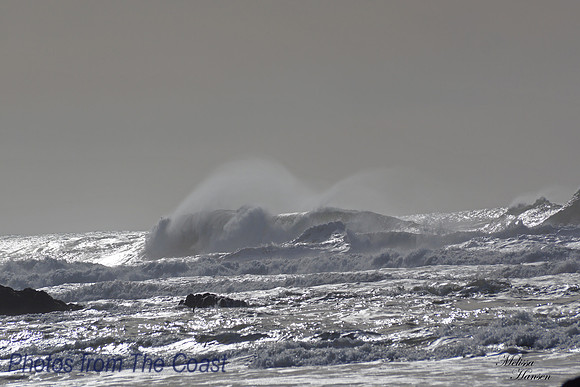 Silver Plumes