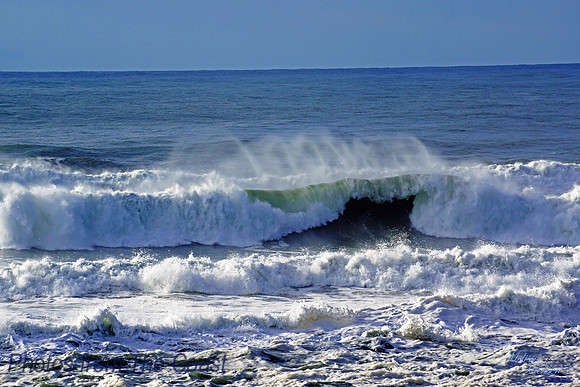 Wild Spindrift