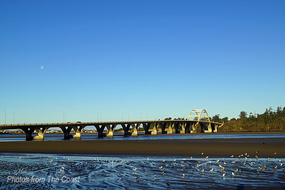 Alsea Bridge at Low Tide