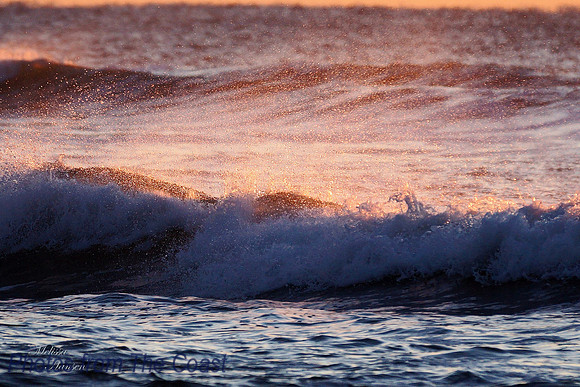 Sunset Pink Spray
