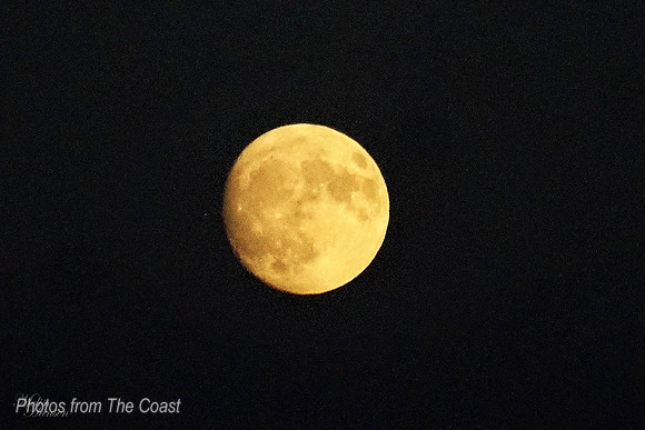 Beautiful Summer Moon