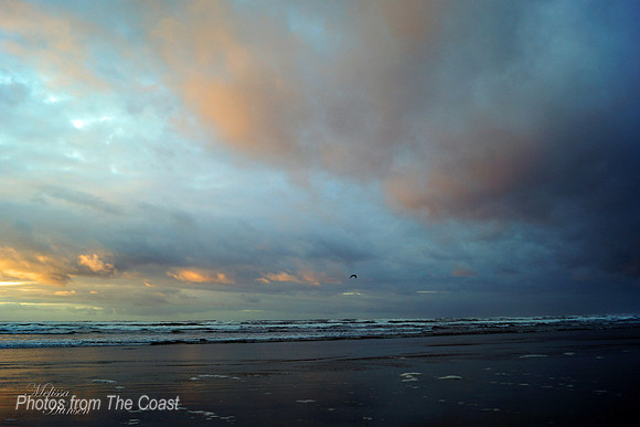 Evening Light