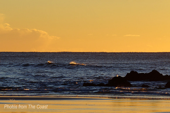Surf Embers
