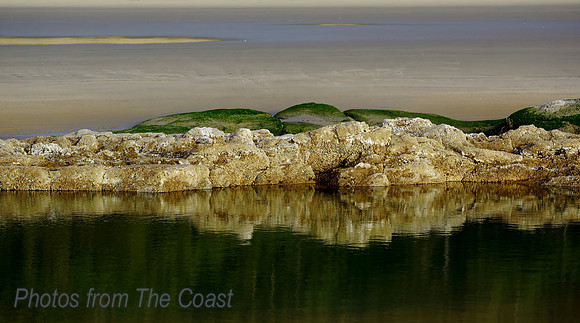 Reflections in the Tide Pool