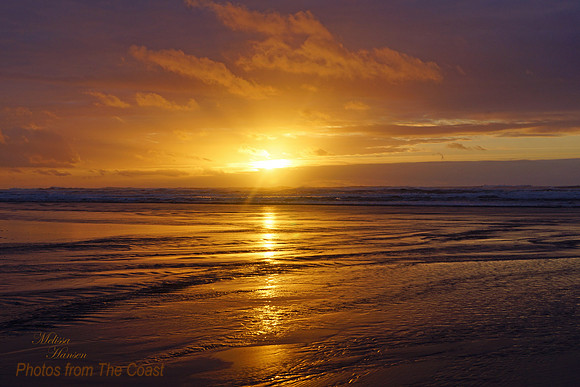 Bathed in Gold