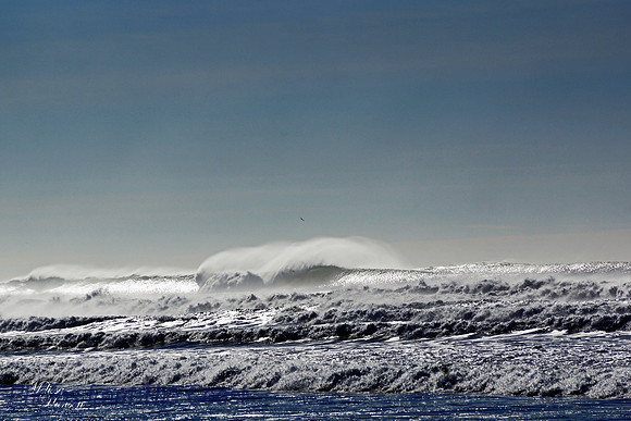 Winter Spindrift