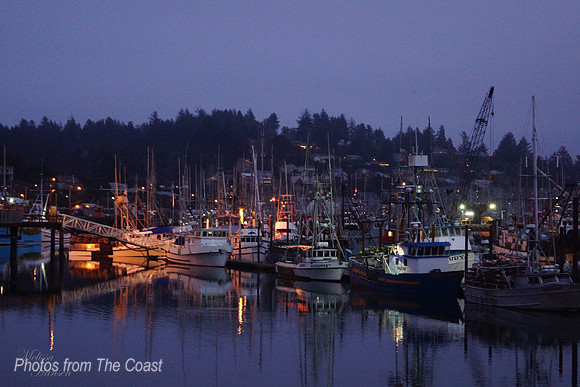 Night at The Docks