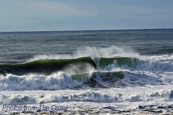 Wild Waves