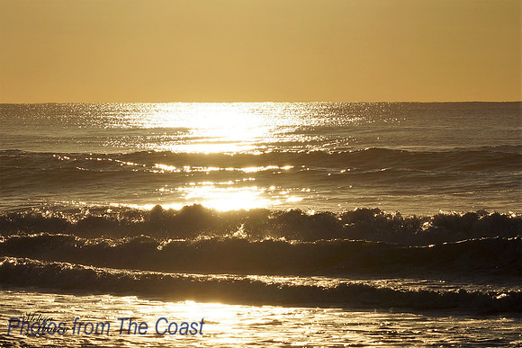 Shines like Gold