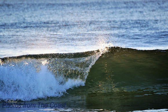 Smooth Curl