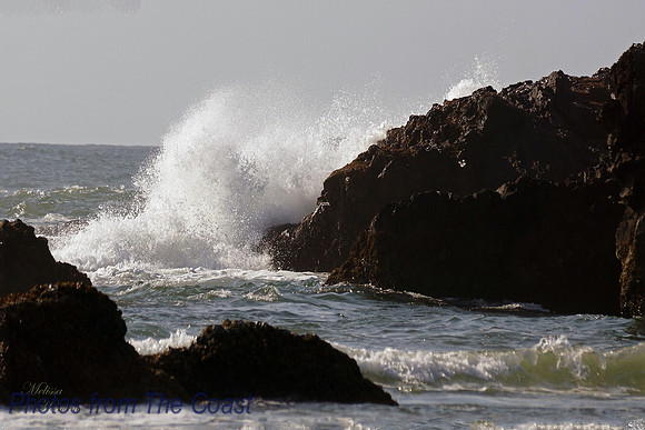Sweet Little Splash