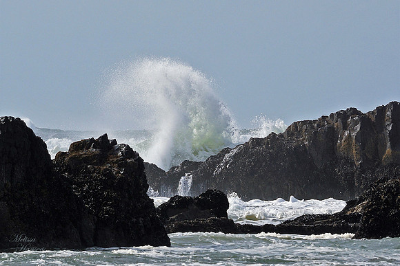 Great Little Cove Splash