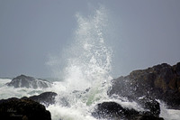 Ocean