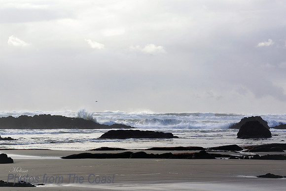 Low Tide reveals Orange Seaweed