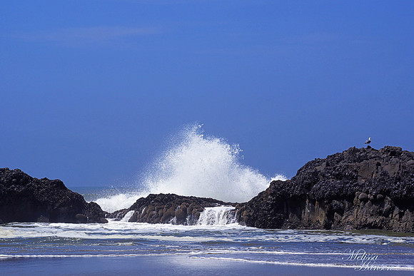 Coastal Blues