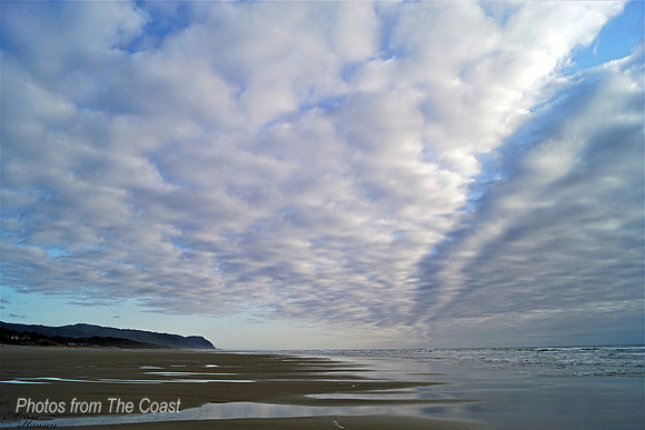 Heceta Head